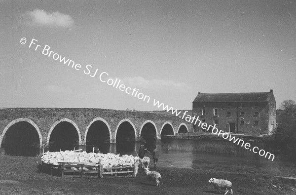 SHEEP WASHING IN RIVER BARROW